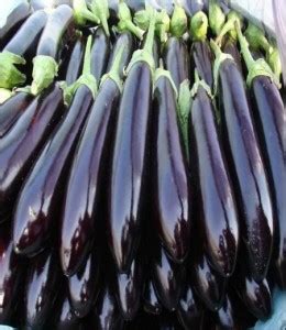 UGRA Hybrid Dark Purple Long Eggplant Seed Price in India - Buy UGRA ...