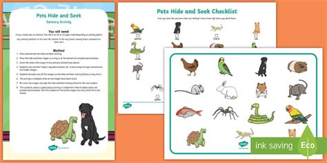 Pets 'Hide and Seek' Sensory Activity (teacher made)