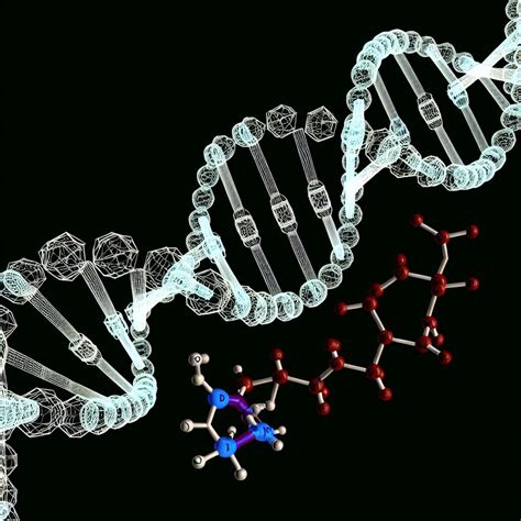 Image result for DNA Basics Explained