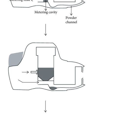Image result for Dry Powder Inhaler Technique