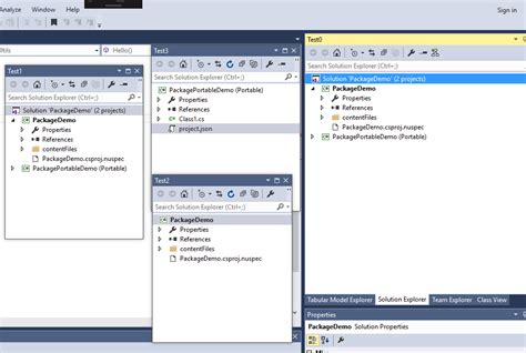 Image result for Solution Explorer Window