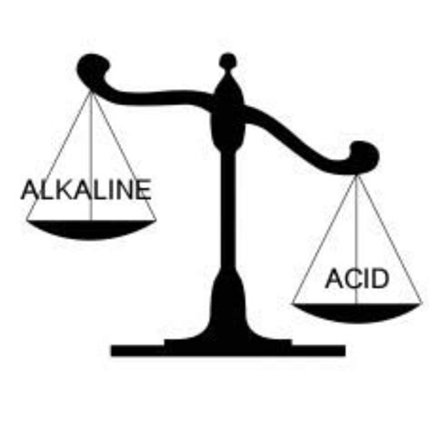 The Crucial Importance of Maintaining an Alkaline Body: Guarding Again ...