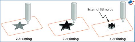 Indian Researchers Develop 4D-Printed Artificial Blood Vessels for ...
