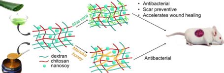 Prof. Bhuvanesh Gupta :: Indian Institute of Technology, New Delhi, India