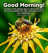 Image result for Animated Good Morning Sunrise