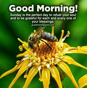 Image result for Animated Good Morning Friends