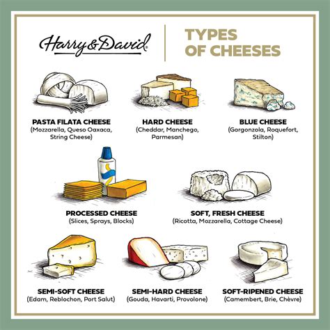 Different Types Cheese List 的图像结果