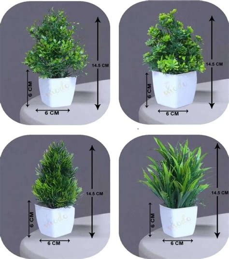 Green Filler Artificial Plant With Square Pot (Pack of 1) Bonsai Wild ...