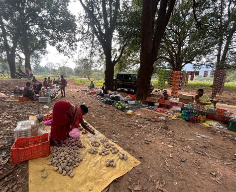 The Wire: The Wire News India, Latest News,News from India, Politics ...