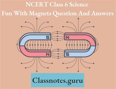 Class 6 Science Fun with Magnet Question and Answer 的图像结果
