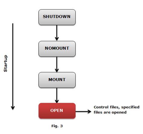 Image result for Startup Database Oracle