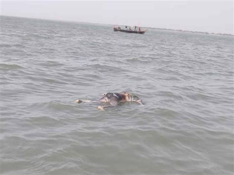 The body of a missing BSF jawan was found in the sea near Vayor | તપાસ ...