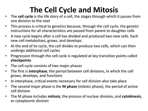Eukaryotic chromosomes.pdf