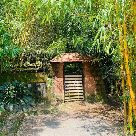 PWV PALKADAVU WARIUM VILLA (Mananthavady) - Hotel Reviews, Photos, Rate ...