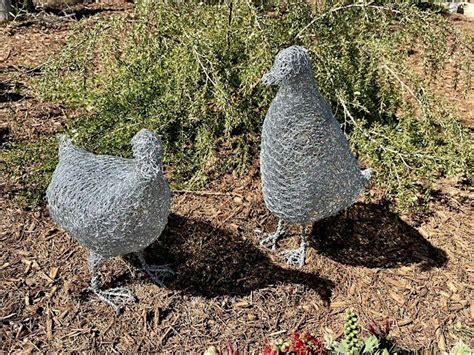 Wire SCULPTURE with Wedgetail Winds – Duck – Sun 3rd March 2024, Two ...