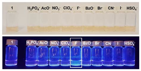Synthesis, Characterization and Evaluation of a Carbazolyl-BODIPY as a ...