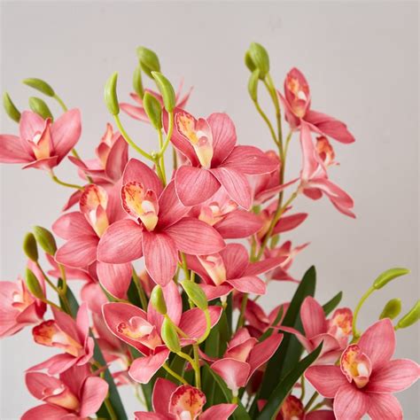 Buy Gloria Gardenia Artificial Orchids in Marble Pot from Home Centre ...
