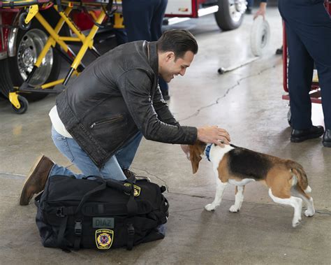 9-1-1 Season 8 Episode 9 Review: Sob Stories - TV Fanatic