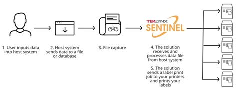 Image result for Software Inside Screen Labelling