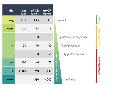 Albumin/Creatinine Ratio Normal Range