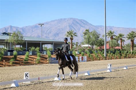 Desert International Horse Park Welcomes Dressage Competitors for ...