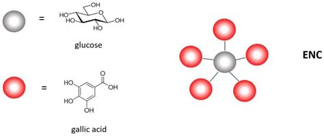 Tannins-Based Extracts: Effects on Gut Chicken Spontaneous Contractility