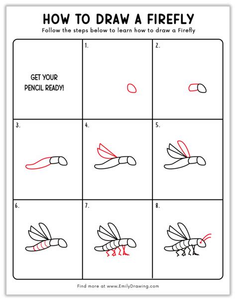 How to Draw a Firefly - Emily Drawing