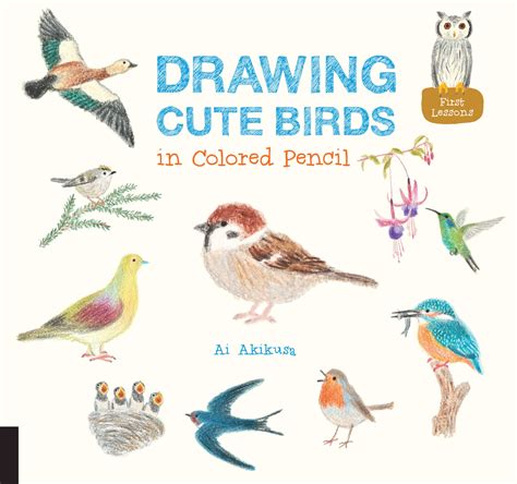 How To Draw Birds In Colored Pencil
