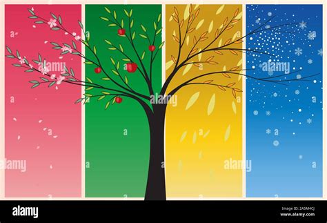 Spring Summer Fall Winter and Spring 的图像结果