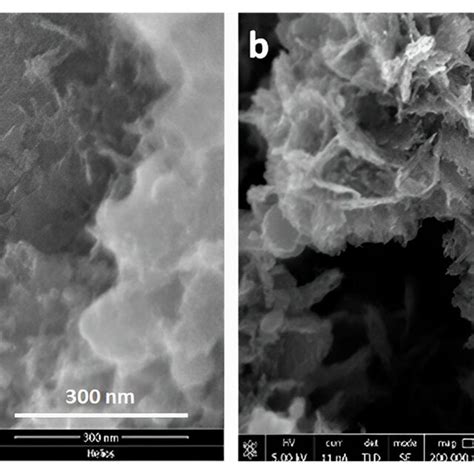 Imaging Signal Resolution for Sem 的图像结果
