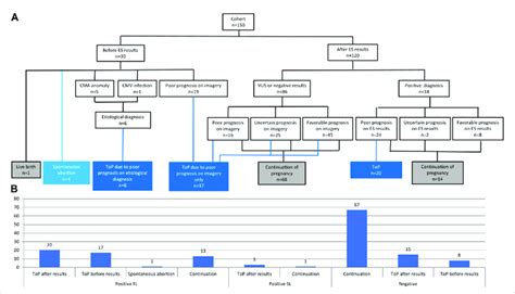 Image result for A Flowchart That Show the Process of Conception