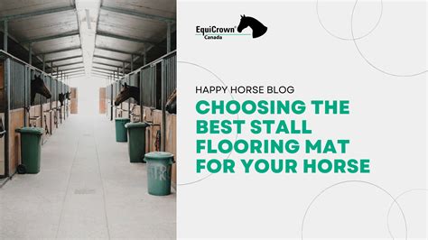 Best Horse Stall Flooring at Amanda Hackler blog