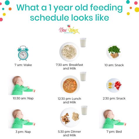 What A One Year Old Should Eat Daily