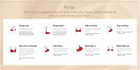 Cup Size Examples 的图像结果
