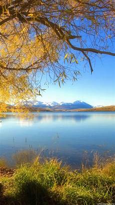 Nature Wallpaper Vertical by 1440x2560 Vertical Wallpaper Wallpapersafari Nature Wallpaper Vertical