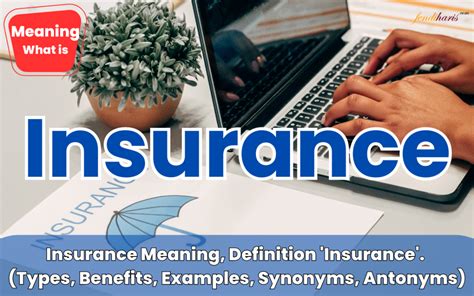 Insurance Definition 的图像结果