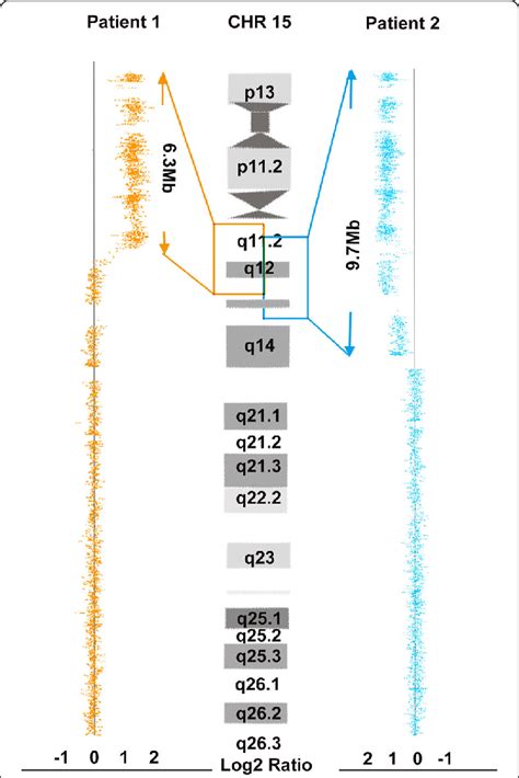 Image result for Copy Number Variation by SNP Array