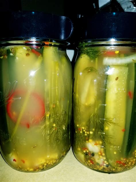 Fermented Sour Dill Pickles at Timothy Sleeman blog