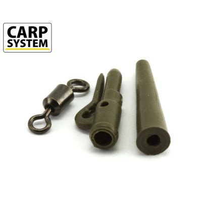 Carp System