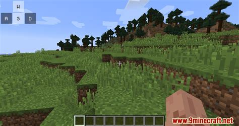 Keystrok Mod 1.17.1 的图像结果