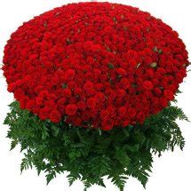 Roses India Send Red Roses to India - Buy Fresh Rose Florist India