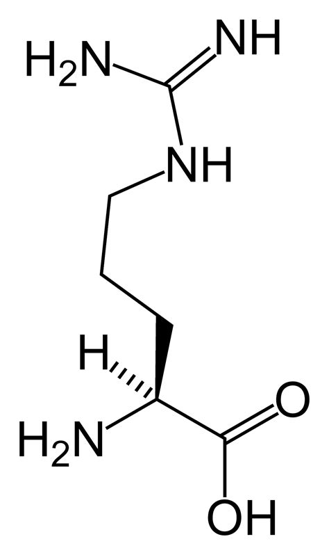 Monomers of Nucleic acids. | Macromolescules | Pinterest | Nucleic acid ...