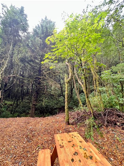 Camping Near Newport, OR, US: 20 Best Campgrounds 2026 | Hipcamp