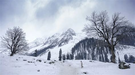Best Time to Visit Kashmir | Month-Wise Weather & Snowfall Guide