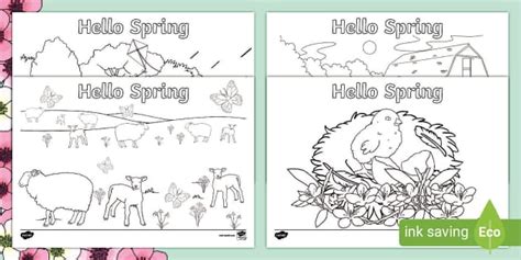 Hello Spring Colouring Pages (teacher made) - Twinkl