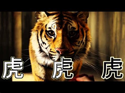 虎年讲一部关于老虎的电影，它塑造了我的三观。为什么刘慈欣是纳粹？ - YouTube