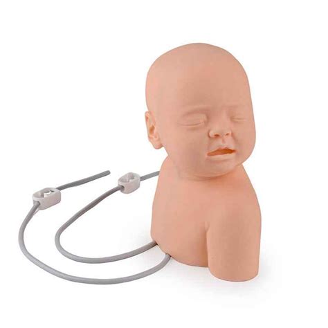 Buy Neonate Scalp Venipuncture Model atv Best Price Online in India ...