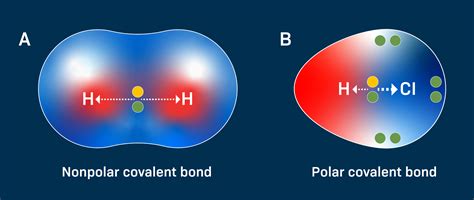 Polar Covalent Compounds Examples 的图像结果