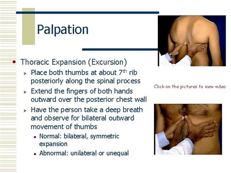 Image result for Excursion Lungs