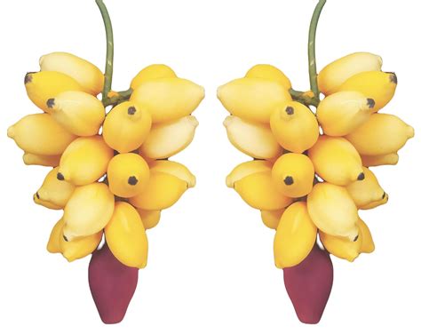 Buy ZENRISE® Banana Decoration Hanging Handicraft for Home Temple puja ...